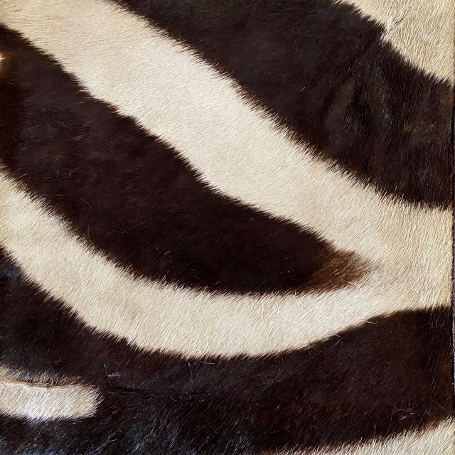 cowhide cover
