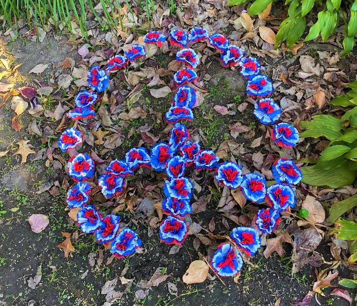 peace sign of red whote blue flowers