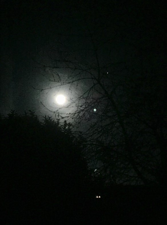 moon a dark night