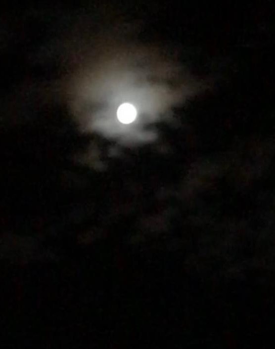 moon in a dark sky
